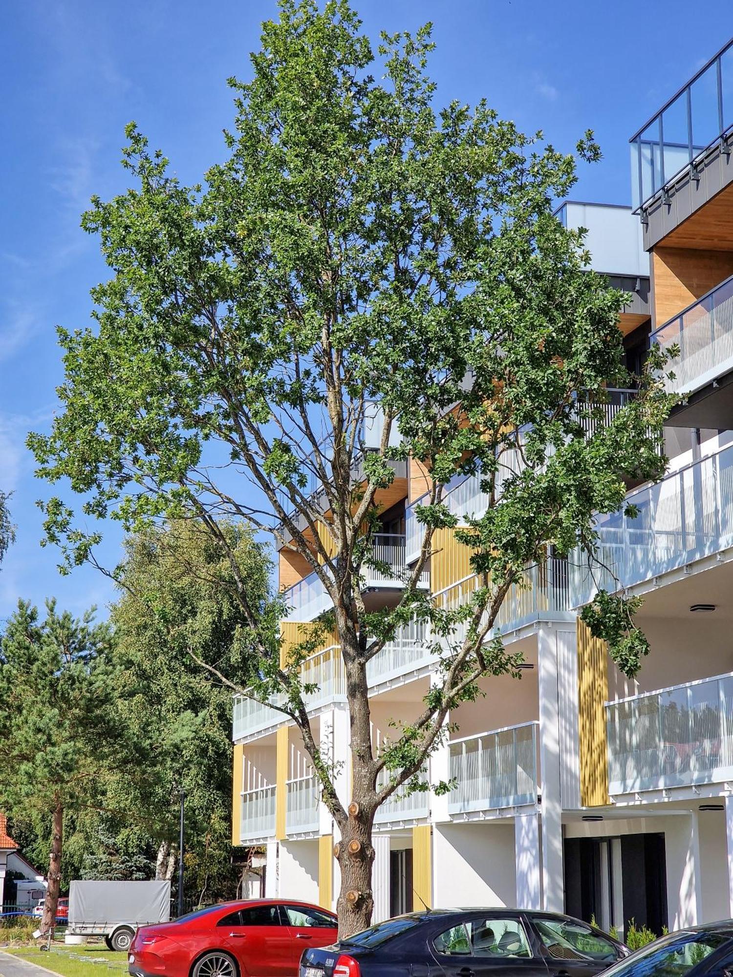 Posesja Apartamenty & Spa - Posesja Plazowa 4A II กชึชโบโว ภายนอก รูปภาพ